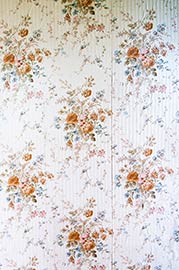 Wallpaper in a Tampa Home