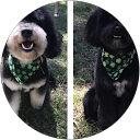 Sherri M. profile picture