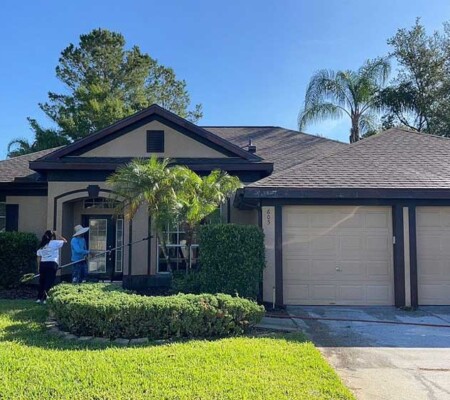 Painted Home in Lutz FL